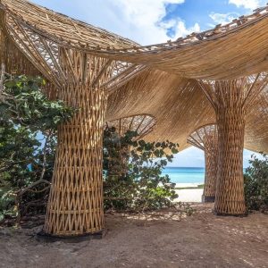 Nos dias 20 e 21 de Outubro de 2023, o 1º Seminário Internacional ASSAMBA contou com incríveis palestras do ilustre @jaimepenastudio, o arquitecto colombiano baseado no México que foca em bioconstrução e que tem mais de 20 anos de experiência construindo com bambu.